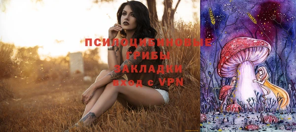 МДПВ Белокуриха