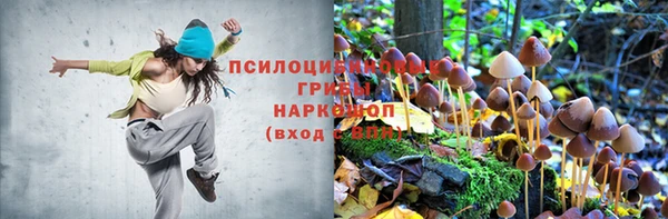 МДПВ Белокуриха