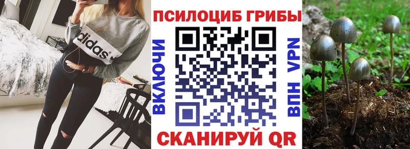 Псилоцибиновые грибы прущие грибы  наркошоп  Донецк 